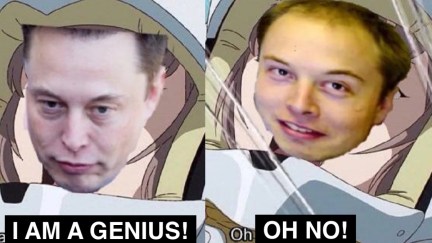 A meme featuring Elon Musk looking confident, saying 