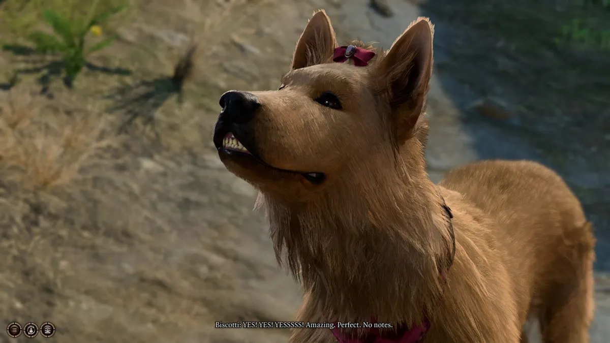 Biscotti the dog in 'Baldur's Gate 3'