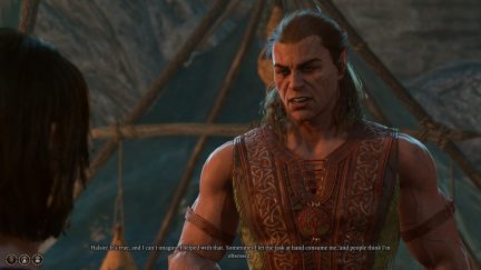 The Curious Case of Halsin, the 'Bear Man' of 'Baldur's Gate 3' The