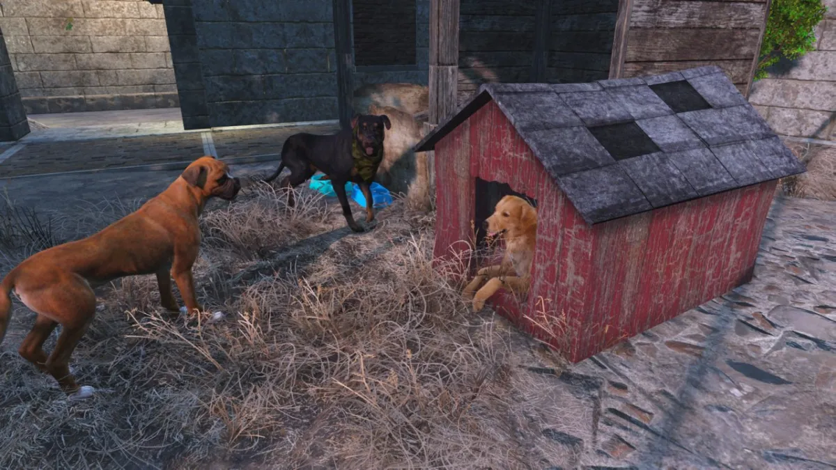 Three dogs chilling in 'Fallout 4'