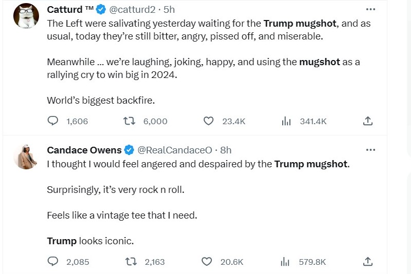 Twitter accounts for Catturd and Candace Owens defend trump's mugshot in tweets.