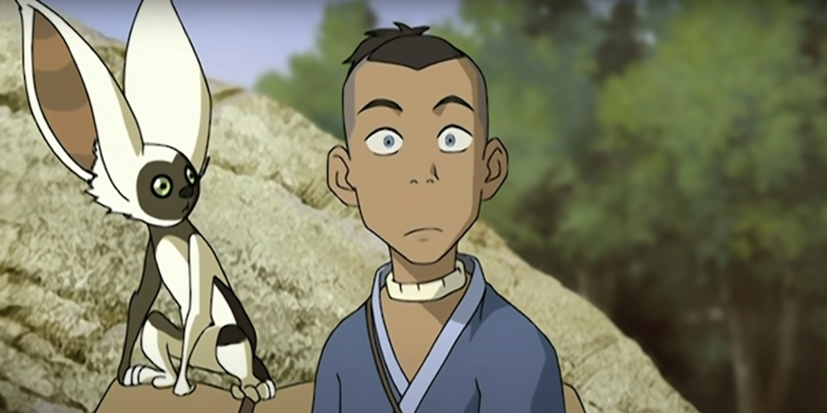 An animated Sokka and Momo in "Avatar the Last Airbender" outside surrounded by rocks both with confused looks on their faces.
