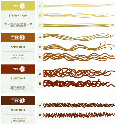 Andre Walker Hair Type Chart.