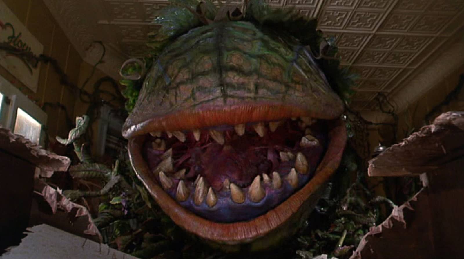  A giant, eyeless, man-eating fly-trap plant bears its teeth as it takes over a florist in ‘Little Shop of Horrors.’ 