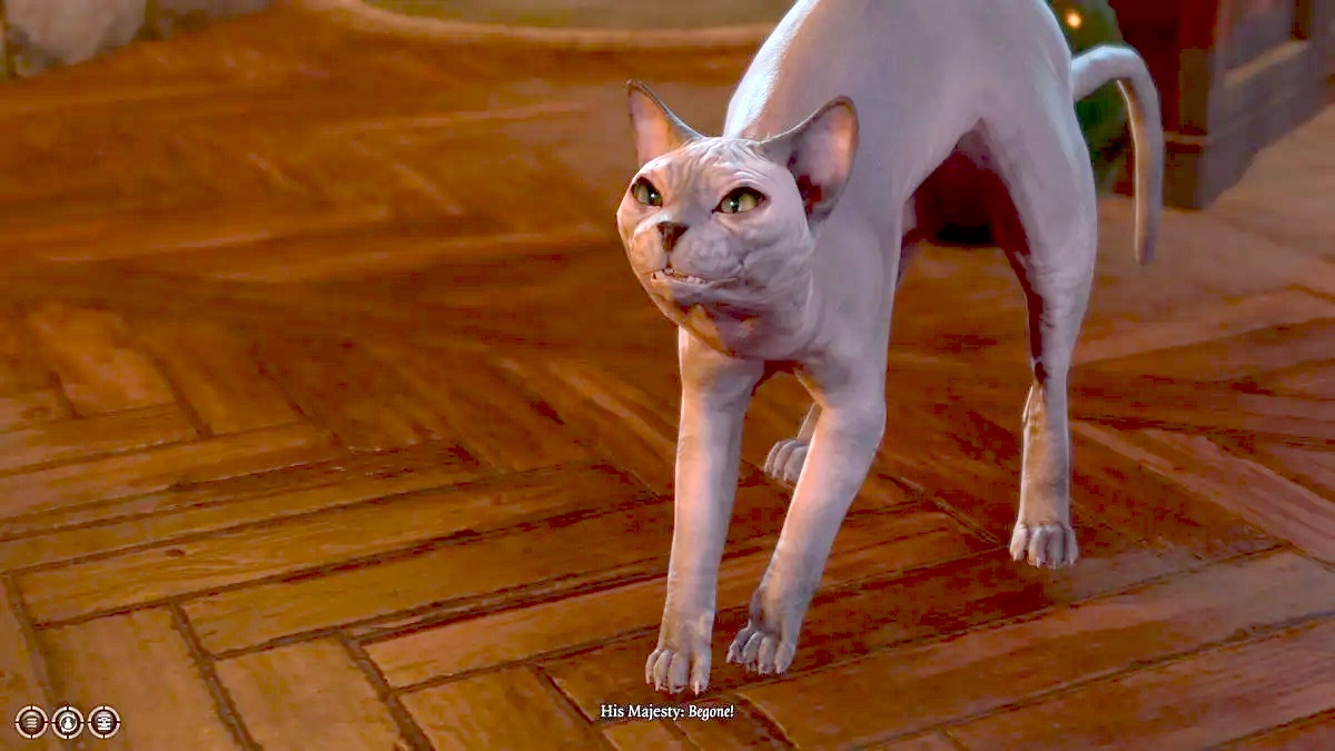 His Majesty of most utter feline eminence in 'Baldur's Gate 3'