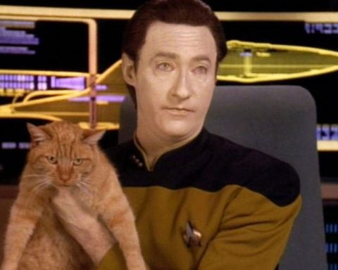 Data holds his orange tabby, Spot, in Star Trek: The Next Generation.