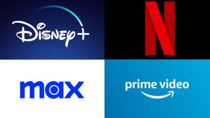 Logos for streaming platforms, including Disney+, Netflix, Max and Prime Video