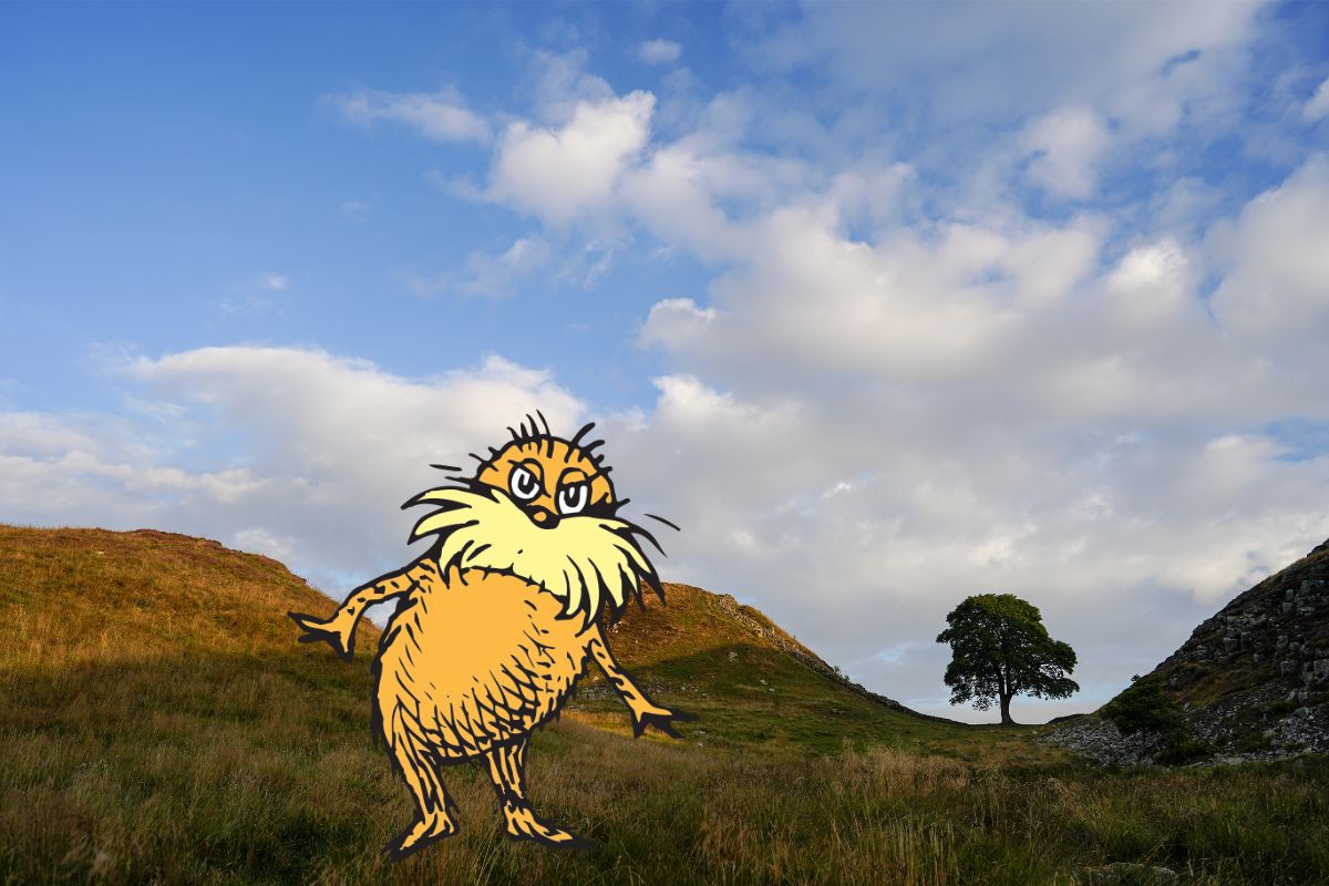 Dr. Seuss' The Lorax edited onto a photo of the Sycamore Gap tree