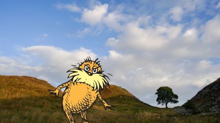 Dr. Seuss' The Lorax edited onto a photo of the Sycamore Gap tree