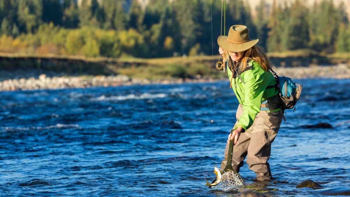 Fly fisherwoman landing trout with net British Colombia, Canada, North America. Via pkawasaki/Getty.
