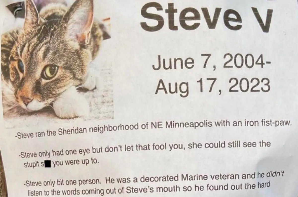 Steve V. cat obituary. Picture of a cat on white paper with typed obituary.