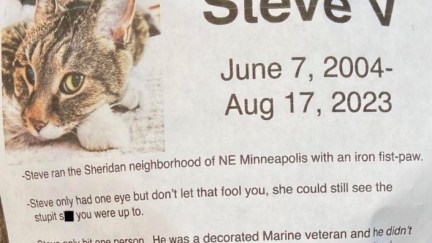 Steve V. cat obituary. Picture of a cat on white paper with typed obituary.