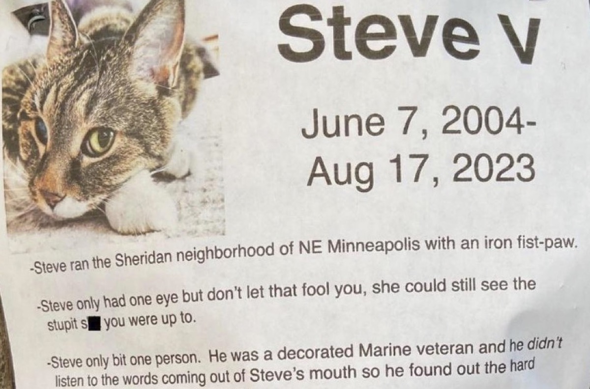Steve V. cat obituary. Picture of a cat on white paper with typed obituary.