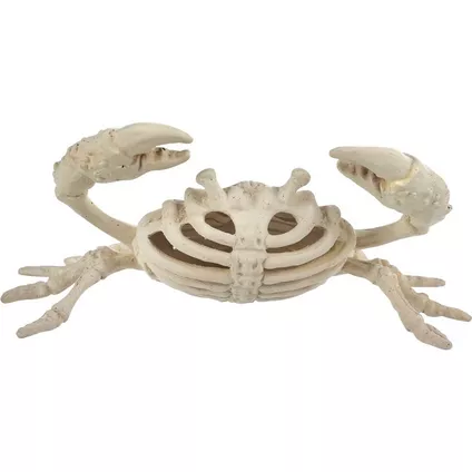 decorative Crab skeleton from Party City