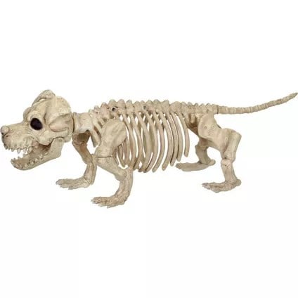 decorative dog skeleton from Party City