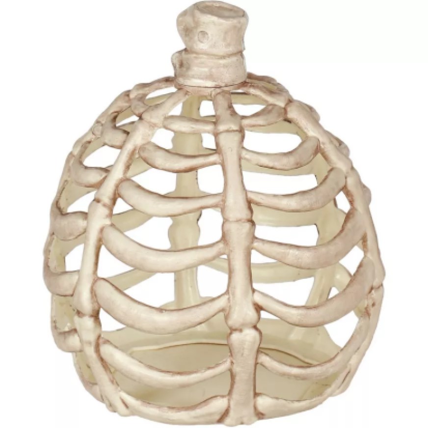 decorative Pumpkin skeleton from Party City