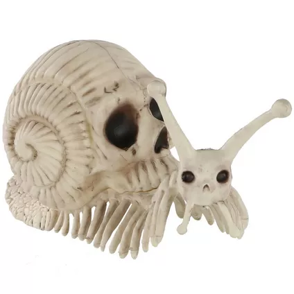 decorative Snail skeleton from Party City