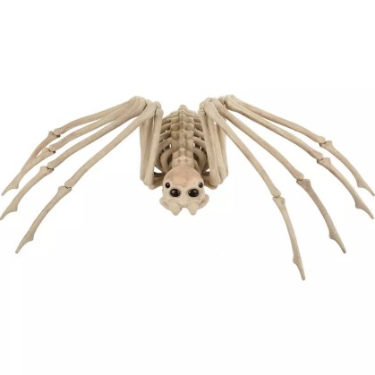 decorative spider skeleton from Party City