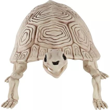 decorative Turtle Skeleton from Party City