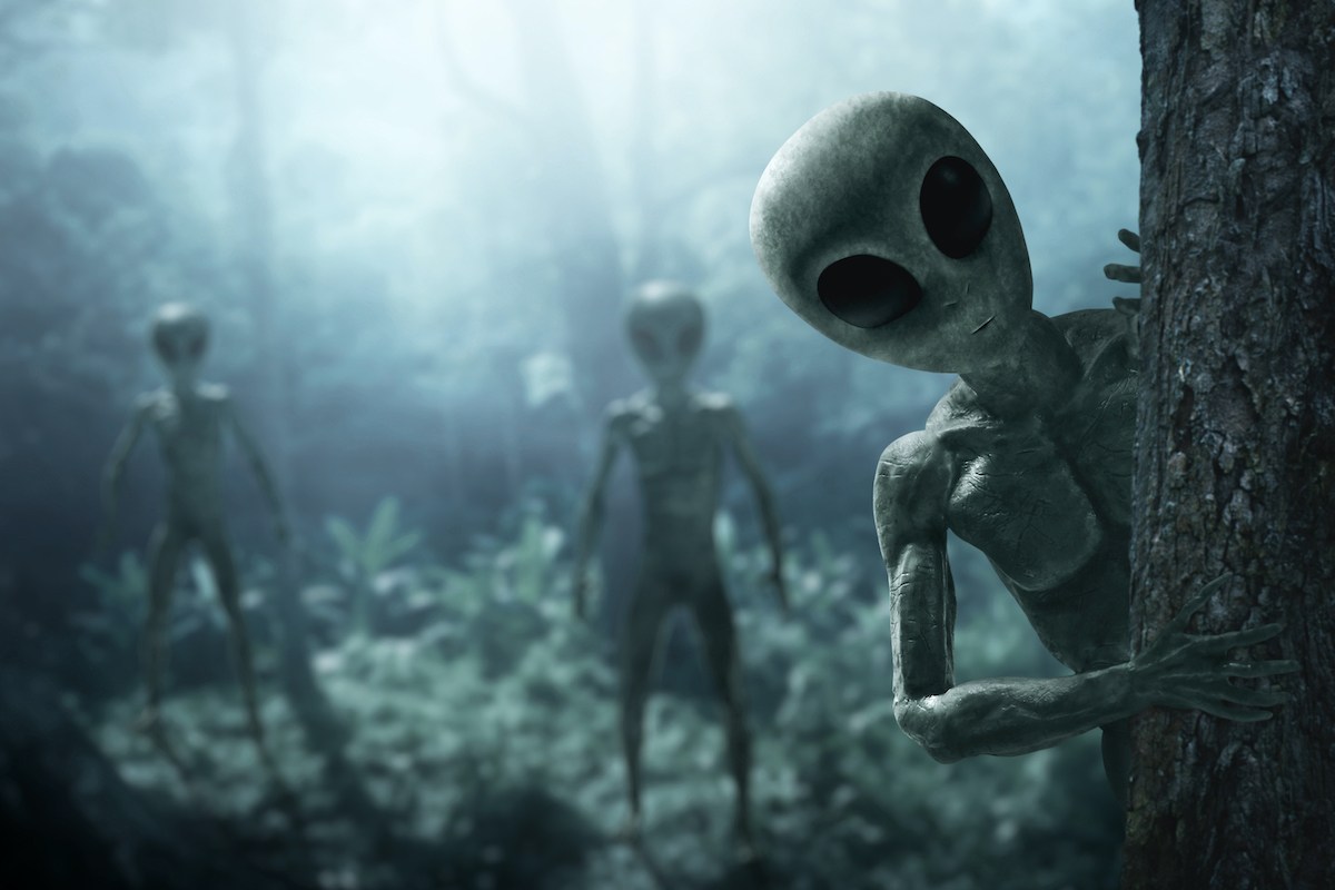 Scariest Reddit Subs | The Mary Sue