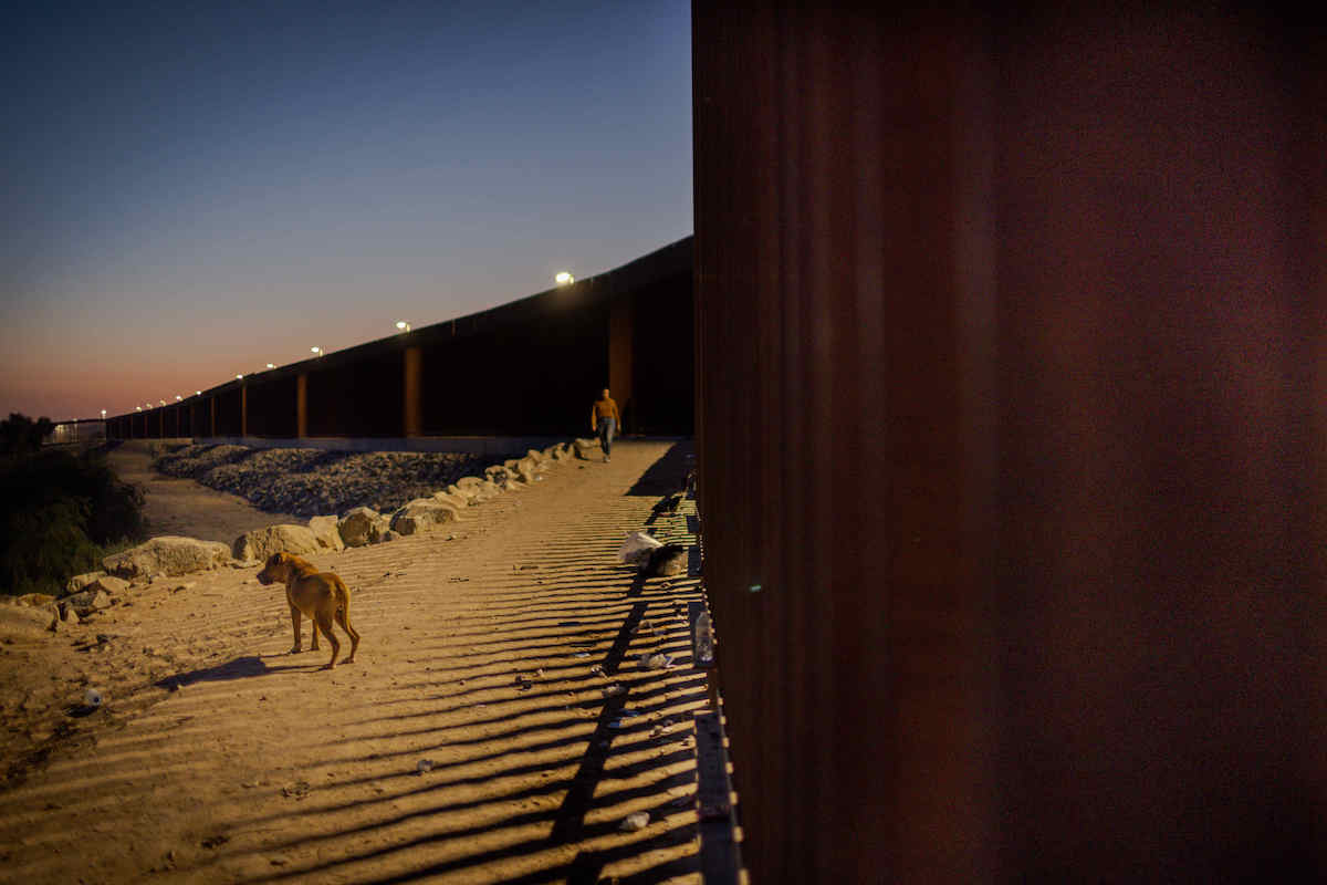 A dog stands next to the US-Mexico border wall