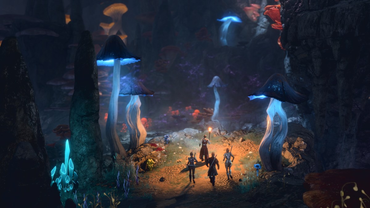 A screenshot of the Underdark, as seen in Baldur's Gate 3 without UI elements. The part of Shadowheart, Wyll,  Lae'zel and Tav is centered, with their backs to the camera and Tav holding up a torch.