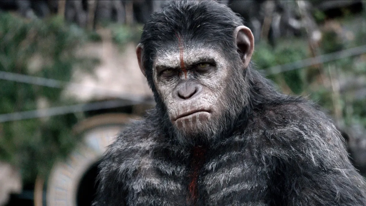 Cezar the Ape with an aggressive look on his face in "Planet of The Apes"