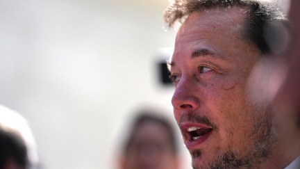 Elon Musk profile, blurred background