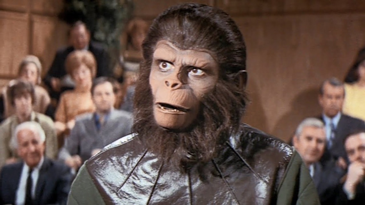 An ape looking incredulous from "Planet of the Apes"