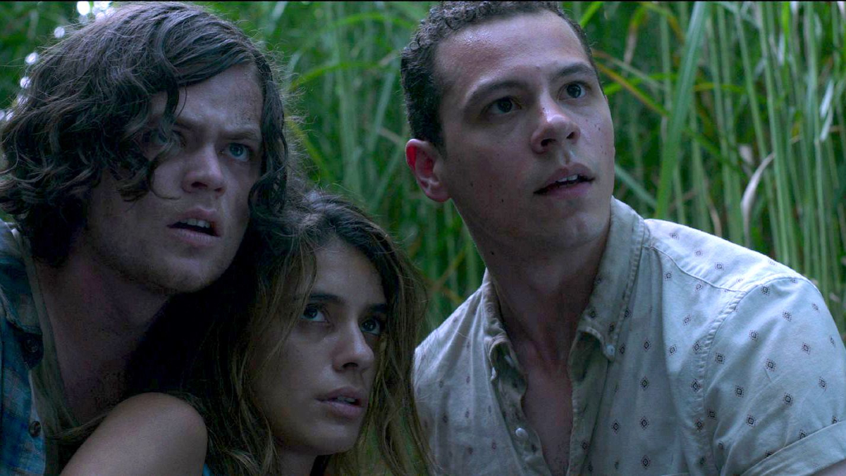 A trio of people look distressed in the movie 'In the Tall Grass'