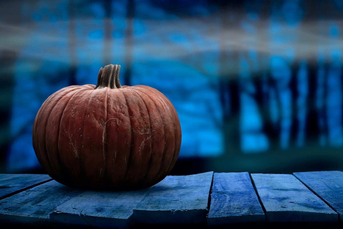 A pumpkin sits on wooden planks against a backdrop of eerie fog and trees.