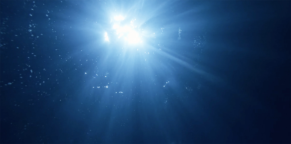 Looking up at the shore in Our Flag Means Death