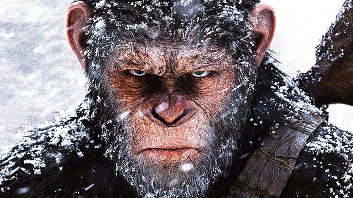 An ape stands angrily in the snow in "War for the Planet of the Apes" 