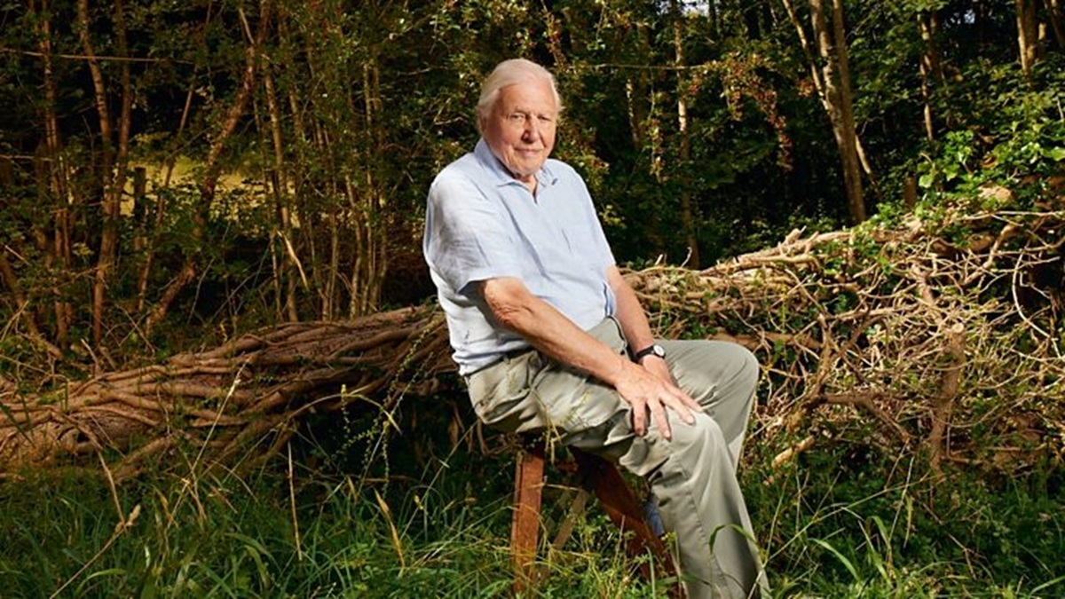 Sir David Attenborough sits in the forest in a promotional shot for 'Planet Earth III'