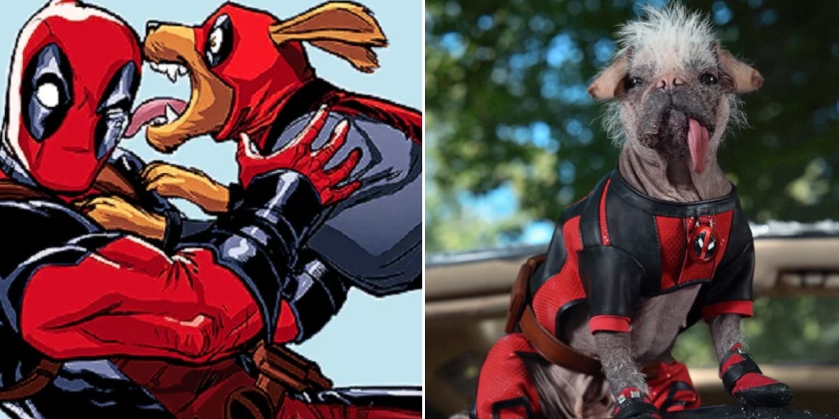 Deadpool and Dogpool in Marvel Comics next to live-action Dogpool