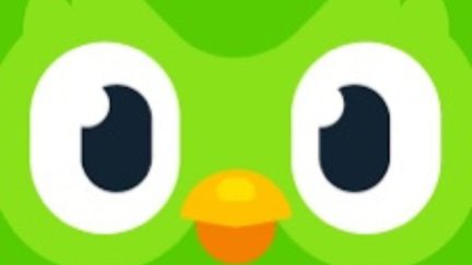 Close-up of Duolingo's mascot, Duo's, eyes