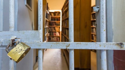 Bookshelves behind bars