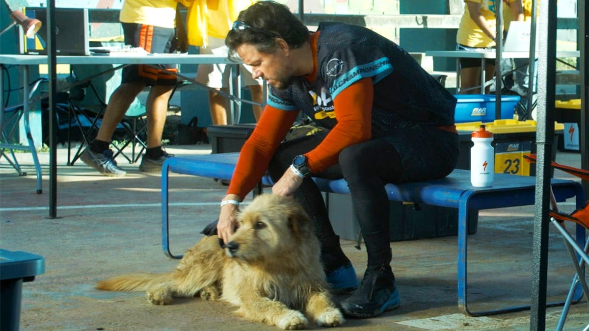 Mark Wahlberg as Mikael Lindnord with his dog in Arthur the King