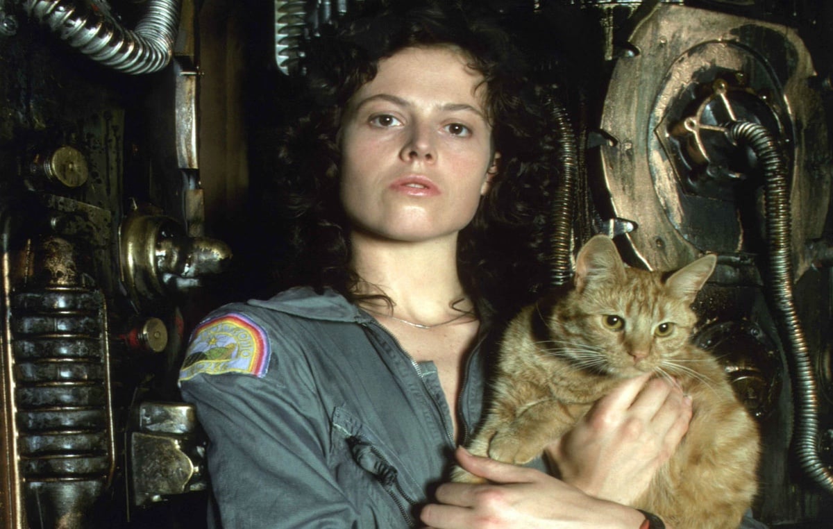 Sigourney Weaver as Ripley holds Jonesy the cat in a scene from 'Alien'