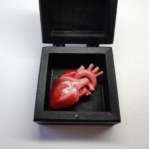 An anatomical heart in a black box