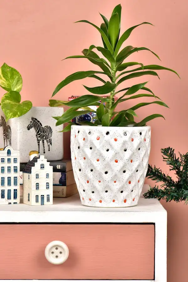 A houseplant in a white ceramic pot on top of a dresser.