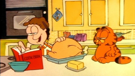 Garfield the Cat Turkey Dinner