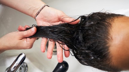 Close up of dark curly hair being washed over sink.