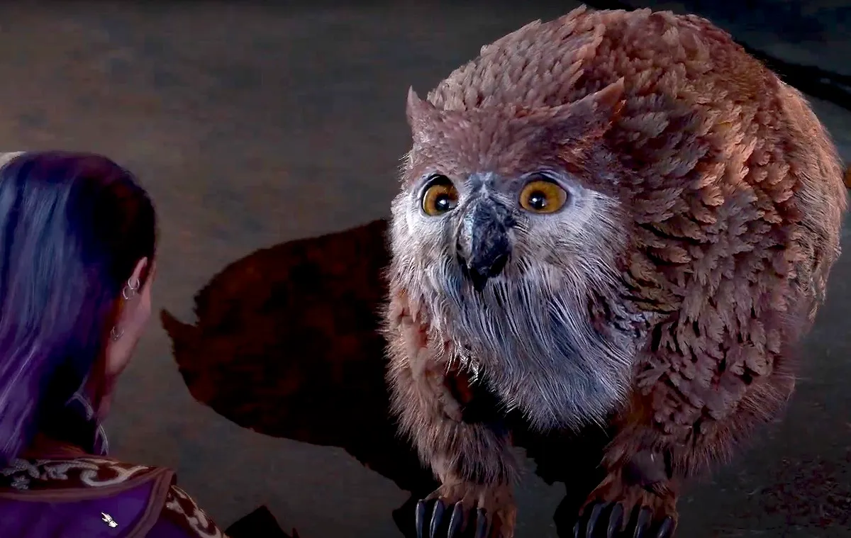 The Owlbear cub in Baldur's Gate 3.
