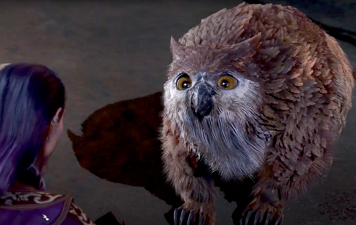 The Owlbear cub in Baldur's Gate 3.