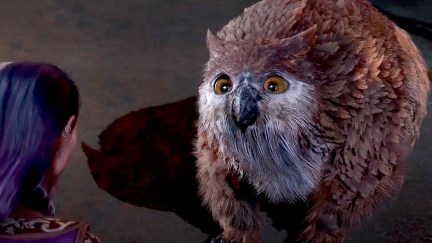 The Owlbear cub in Baldur's Gate 3.