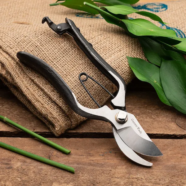 pruning shears on a wooden table with leaves next to them.