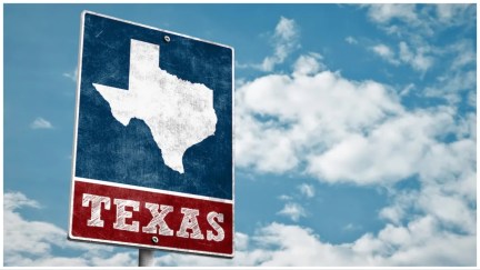 A sign for Texas against a blue sky.