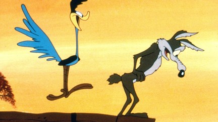 Wile E. Coyote and the roadrunner