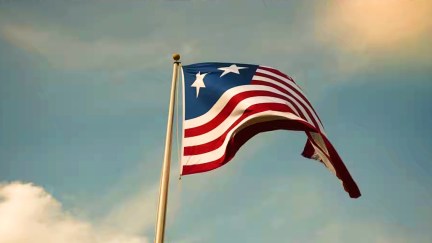 A new American flag design in A24's Civil War